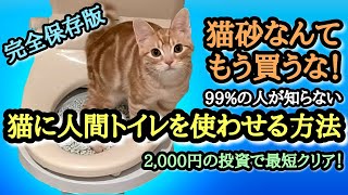 Toilet Train Your Cat [Special Edition]