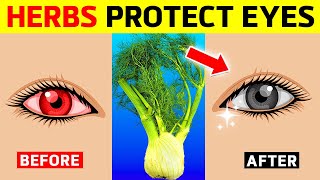 7 Herbs That Protect Eyes And Repair Vision