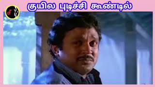 Kuyila Pudichu | குயில புடிச்சி | ILAIYARAAJA | SPB