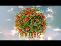 Carosdeluxe - Flowers (Official Audio)