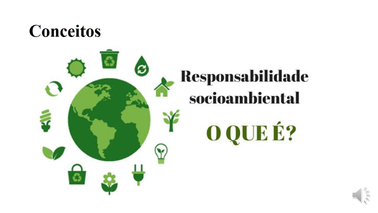 São Exemplos De Responsabilidade Socioambiental Em Empresas - Puro