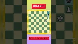 ПРАВДА или ЛОЖЬ? Пройди шахматный тест на то, как хорошо ты знаешь Шахматный ЭНДШПИЛЬ.