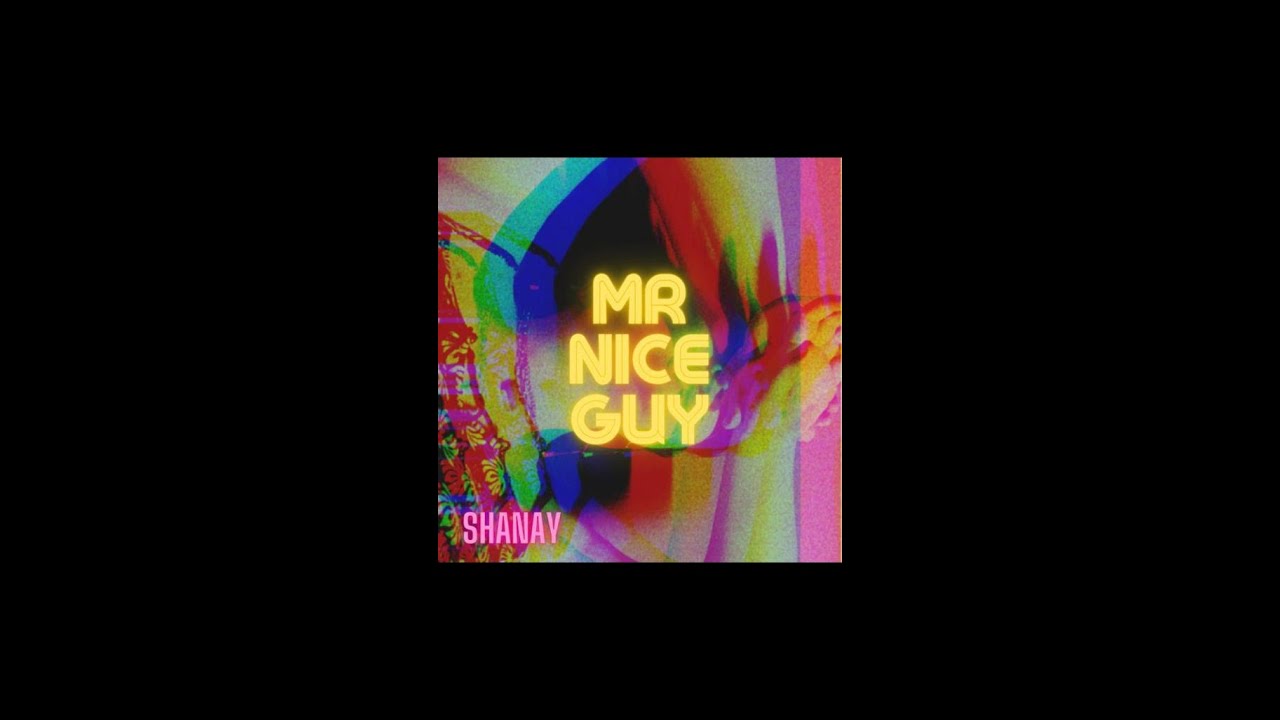 Mr Nice Guy Shanay Official Audio Youtube