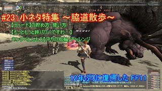 【FF11】小ネタ特集（キングベヒんもス チャレンジ・他）【復帰勢#23】