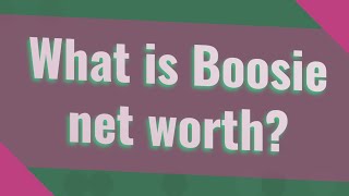What is Boosie net worth?