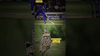 Virat Run Like A Cheetah #viratkohli #status #viralshorts #ytshorts #shorts #trending #cricket