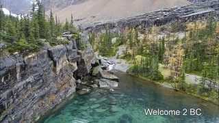 Lake O'Hara, the secret Heaven of Yoho National Park, BC, Canada