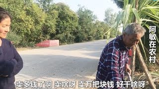 当地农村大叔，种植了10年甘蔗，每亩能挣一万元，他说的是真的吗