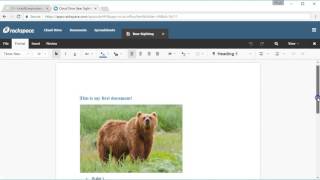 Rackspace Cloud Drive - Desktop Sync