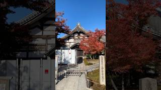 【ぶらり旅】北政所ゆかりの寺高台寺へ参拝に行ってきた！