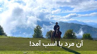 یک سفر بی‌نظیر با اسب در آغوش طبیعت بکر شمال ایران | تجربه‌ای فوق‌العاده برای عشق‌بازان طبیعت!