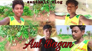 Aul Bagan / santhali vlog 2024 ka