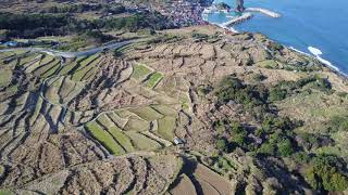 2020/02/24 山口・東後畑棚田 4K空撮 Higashi-Ushirobata rice terrace / Yamaguchi