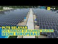 PLTS Selayar, PLTS Terbesar di Sulawesi Selatan Resmi Beroperasi