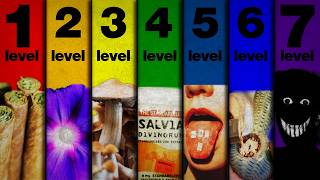 The 7 Levels of Psychedelic Drugs