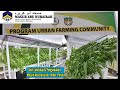 PROGRAM URBAN FARMING COMMUNITY, MASJID ABU HURAIRAH, BIDOR. PERAK | Kaedah Tanaman Fertigasi