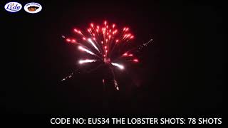 EUS34 THE LOBSTER