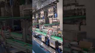 Automatic pyramid tea bag packaging line