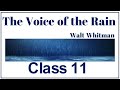 The Voice of the Rain | Class 11 | Walt Whitman | Explanation | CBSE | Poem-03 | Summary in English