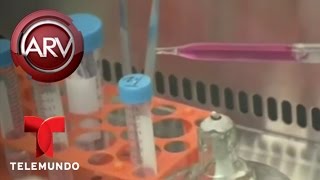 Revelan primera bio-impresora 3D capaz de producir vasos sanguíneos | Al Rojo Vivo | Telemundo