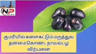 #குமரி மாவட்டத்தில் #களைகட்டும்#மருத்துவ தன்மை கொண்ட #நாவல்பழ விற்பனை