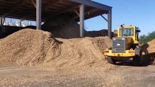 Zone de stockage des plaquettes de bois