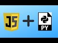 how to write JavaScript commands inside a python file