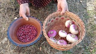 kashmiri style daal te gogji recipe 😋 (kidney beans with turnip)👍winter special recipe