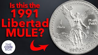 Whatever happened to the 1991 Libertad Mule? - EXPLAINED