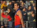 FNWB com au - 1996: 0804, Round 1822, Fitzroy v Footscray HSV 7 Q4