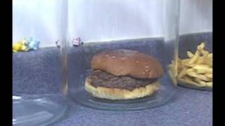 The Decomposition Of McDonald's Burgers And Fries.
