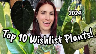 Top 10 Wishlist Plants for 2024!! 🌿 + everything I got from last years list ✨️