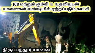 யானைகள் JCB \u0026 கும்கி🐘யால் வண்டியில் ஏற்றப்பட்ட காட்சி #Tirupattur #elephants #TodayNews