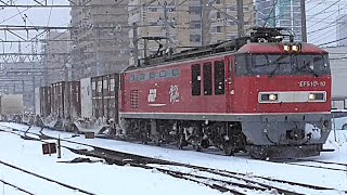 【吹雪】EF510-10号機牽引  4061列車  2025/2/11撮影