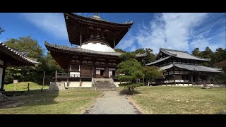 【和歌山県岩出市】根来寺（根來寺）（ねごろじ）ぶらり旅 行った気分\u0026バーチャル参拝に、神仏霊場 第9番 Japanese temple in Wakayama.