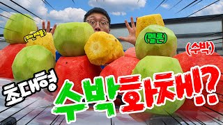 초대형 수박화채의 탄생..!!수박이 통째로 들어갔다?!ㅋㅋㅋ더 맛있을까..?!