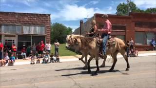 Luther Alumni Parade 2016