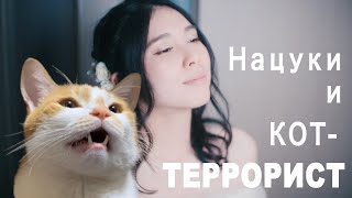 「歌う猫」Нацуки и кот-террорист (съёмки \