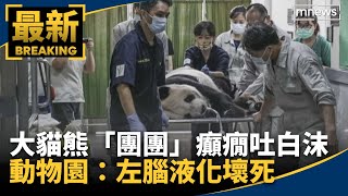 大貓熊「團團」癲癇吐白沫　動物園：左腦液化壞死｜#鏡新聞