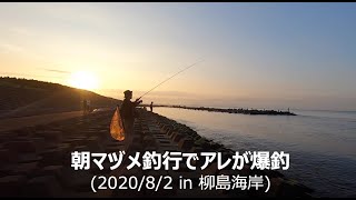 青物釣行で外道のアレが入れ食い!(茅ヶ崎/柳島海岸)