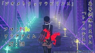 【#PSO2NGS】『ジオメトリックラビリンス』初見1周目【ソロ：FiBo】