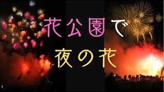 【大分🎆】くじゅう花公園で夜の花が開く✨｜久住町花火大会 in 竹田市2023秋