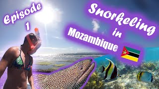 Mozambique 🌊  We went snorkeling at King's Pools 🐠 Xia-Xia Travel Vlog