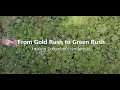 Gold Rush to Green Rush: Healing Colombia's rainforests