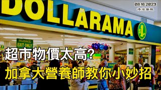 超市物價太高？加拿大營養師教你小妙招：轉戰1元店；警告：加拿大很可能或已經進入經濟衰退；22名受害兒童！夏令營輔導員廁所偷拍6歲兒童！嫌犯竟然還是邊境僱員（《港灣播報》20230816-2 CACC）