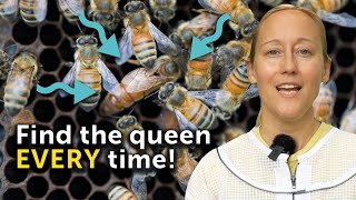 QUEENSPOTTING: How to Find Your Queen Bee Every Time Step-By-Step