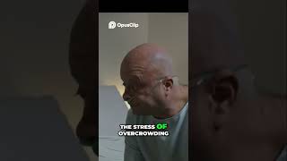 The Hidden Crisis: Mental Health in Prisons Exposed