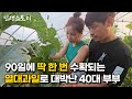 2500평 시골에서 90일에 딱 한 번 수확 가능한 열대과일 농사로 대박난 40대 부부 /자영업자/직업의모든것/휴먼스토리