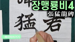 청운김영배_장맹룡비4 임서