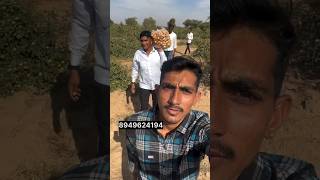 गाँव रो ब्लॉग मारवाड़ी #राजस्थान  #marwadi #rajasthaniblogger #vlog #marwadivlog#shortsvideo#shorts